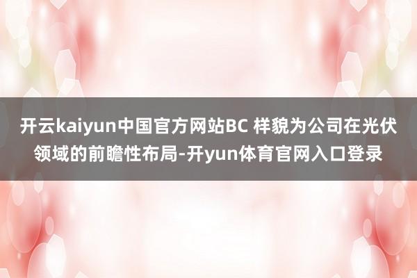 开云kaiyun中国官方网站BC 样貌为公司在光伏领域的前瞻性布局-开yun体育官网入口登录