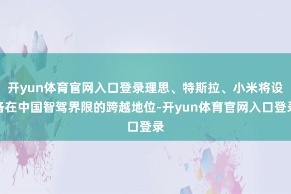 开yun体育官网入口登录理思、特斯拉、小米将设备在中国智驾界限的跨越地位-开yun体育官网入口登录